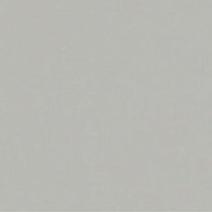 Farbe für Kunststoffhaustür: Achatgrau-glatt