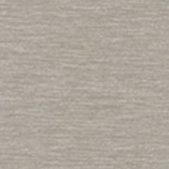 Farbe für Kunststoffhaustür: Metbrush-Platin