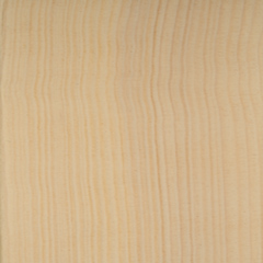 Farbe für Holz/Aluminiumhaustüre: Fichte 621